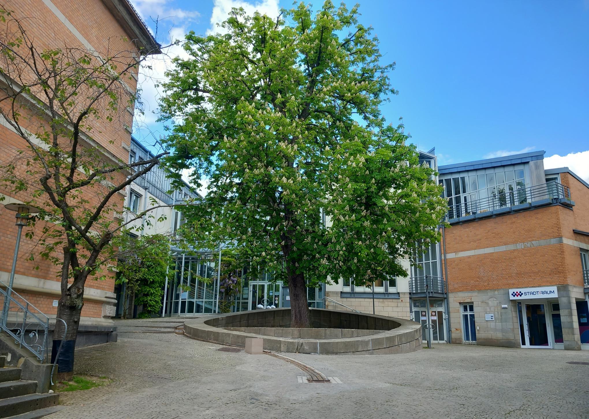 RathausSchließung | Stadt Bad Pyrmont